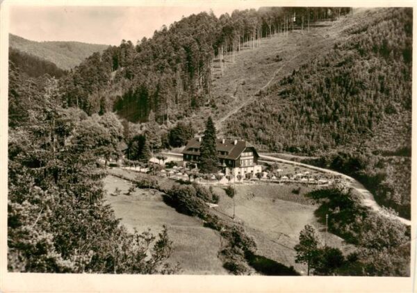 Baden-Baden Waldhotel Fischkultur Panorama