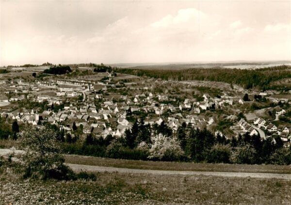 Haiterbach Panorama