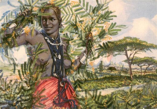 Tigrai Tigray aethiopien Ethiopia Flori dell Africa Orientale Types et Scènes Ku