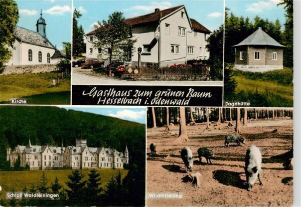 Hesselbach Odenwald Gasthaus zum gruenen Baum Kirche Jagdhuette Schloss Waldlein