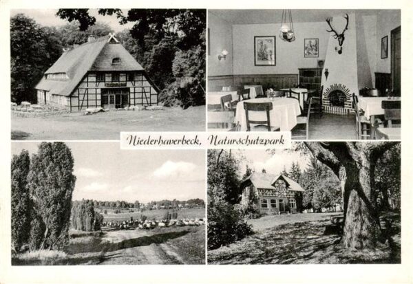 Niederhaverbeck Bispingen Gasthof Heidekrug mit Gaestehaus Eikhof Gastraum Panor