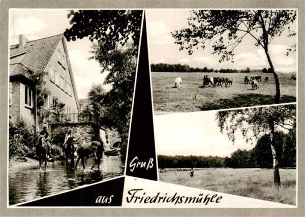 Knesebeck Wittingen Pony-Gestuet und Pension Friedrichsmuehle Pferdekoppel Lands