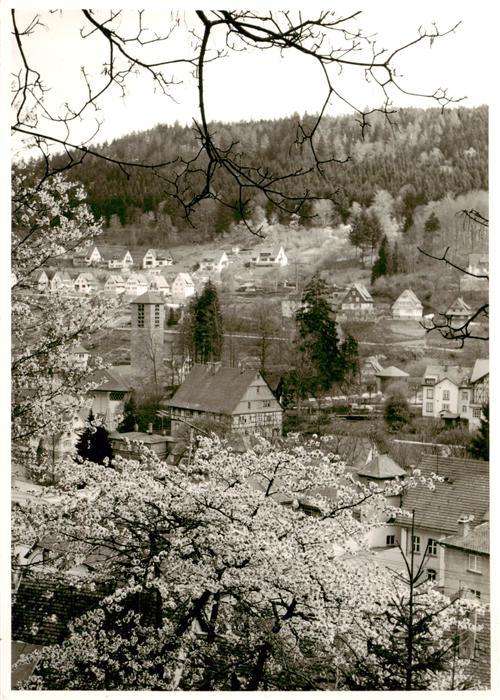 Triberg Teilansicht Ort im Schwarzwald Baumbluete