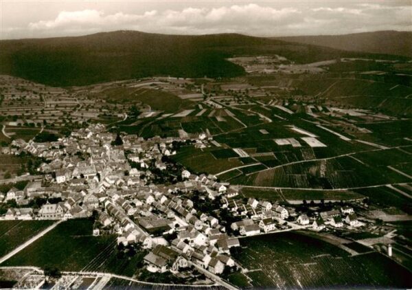 Hallgarten Rheingau Fliegeraufnahme