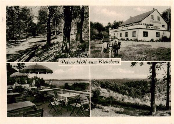 Ehestorf Harburg Peters Hoeh zum Kiekeberg Terrasse Panorama