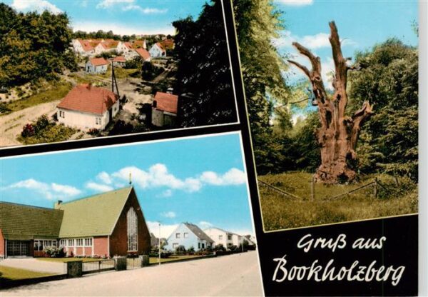 Bookholzberg Ganderkesee Ortsansichten Natur Alter Baum