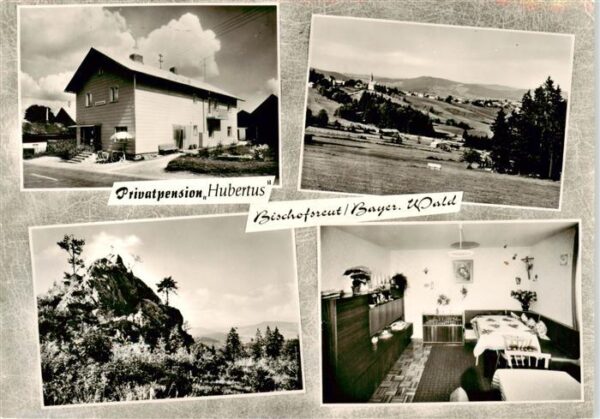 Bischofsreut Haidmuehle Privatpenison Hubertus Panorama Felsen Zimmer