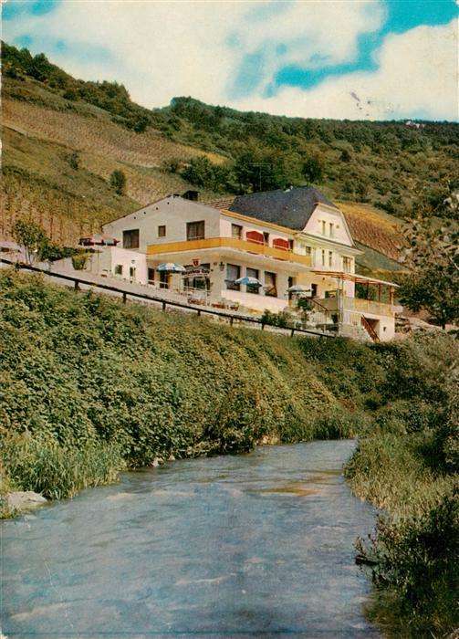 Weinaehr Hotel Pension Weinhaus Treis