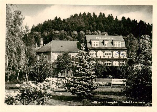 Laasphe Hotel Fasanerie