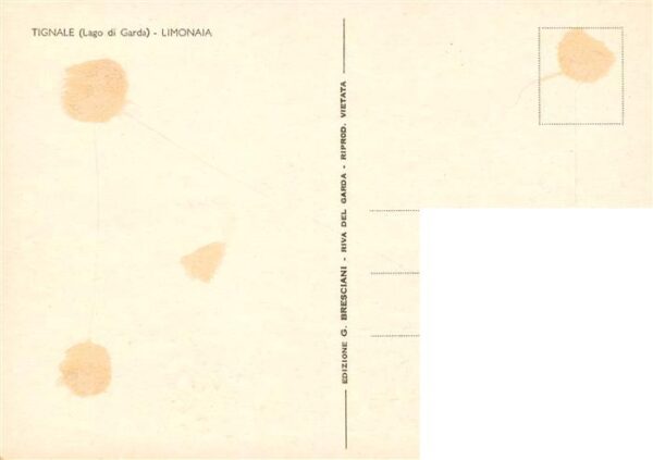 Tignale del Garda IT Limonaia Kuenstlerkarte – Bild 2