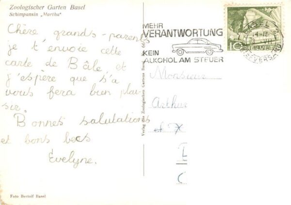 Affen Zoologischer Garten Basel Schimpanse Martha – Bild 2