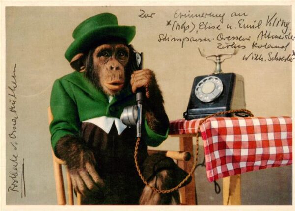 Affen Telefon