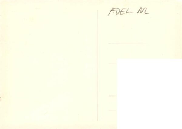 Adel Niederlande Pferd – Bild 2