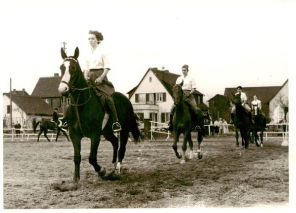 Adel Niederlande Reiten