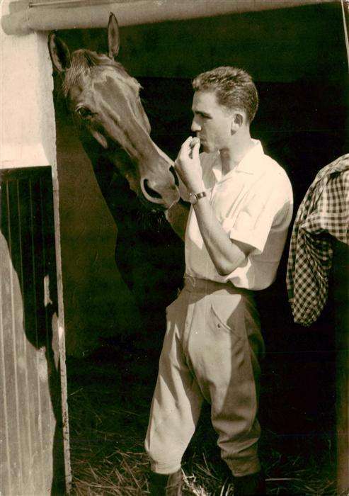 Adel Niederlande Pferd