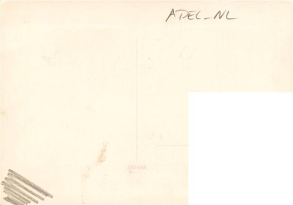 Adel Niederlande Pferd – Bild 2