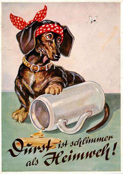 Dackel Dachshund Teckel Hunde dogs Chiens Cani Frust ist schlimmer als Heimweh
