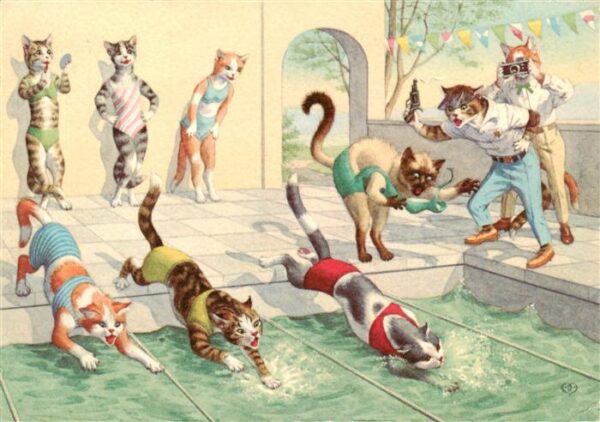 Vermenschlicht Katzen Schwimmen