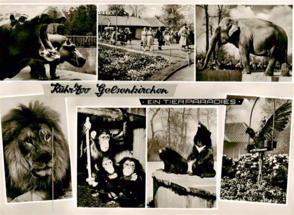 Zoo Gardin Zoologique-- Gelsenkirchen Tierparadies