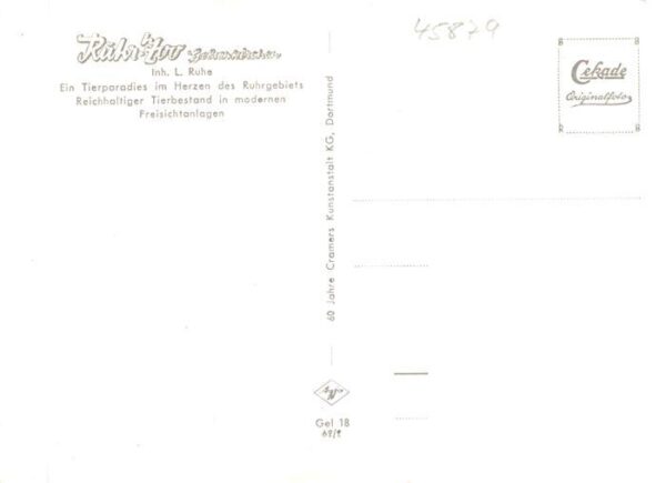 Zoo Gardin Zoologique-- Gelsenkirchen Tierparadies – Bild 2