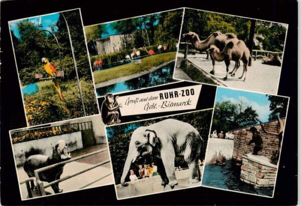 Zoo Gardin Zoologique-- Ruhr Zoo Gels.-Bismarck Gelsenkirchen