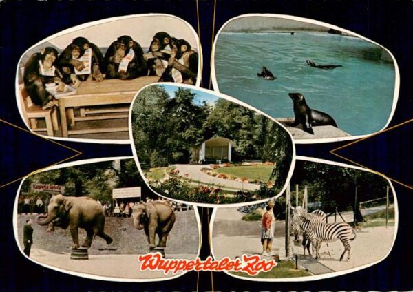 Zoo Gardin Zoologique-- Wuppertaler Zoo