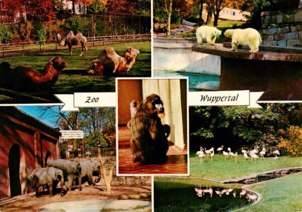 Zoo Gardin Zoologique-- Wuppertal Zoo