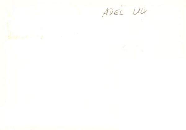 Adel UK Elisabeth 2 Berlin – Bild 2
