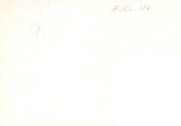 Adel UK Elisabeth 2 Stuttgart – Bild 2