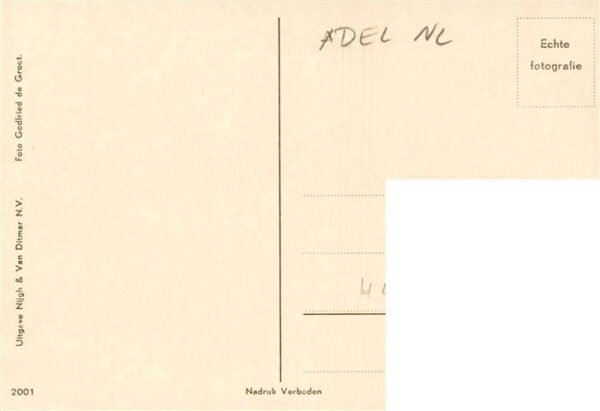Adel Niederlande H.M.de Koningin – Bild 2