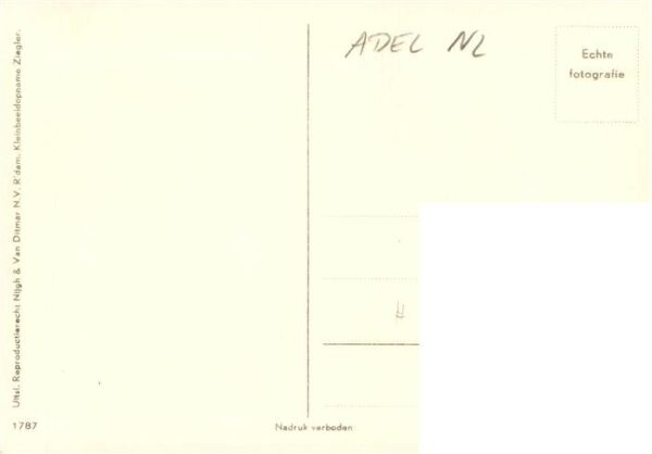 Adel Niederlande Juliana – Bild 2