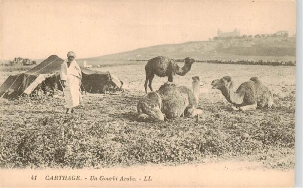 Carthage  Karthago Carthago Tunesie Un Gourbi Arabe