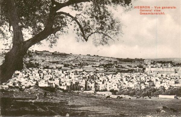 Hebron  Israel Vue generale