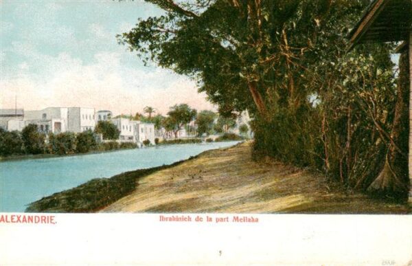 Alexandria  Alexandrie Aegypten Ibrahinieh de la part Mellaha