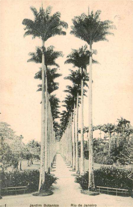 Rio de Janeiro Jardim Botanico