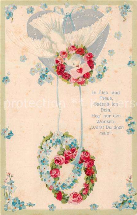Tauben Liebes Brief Liebe Treue