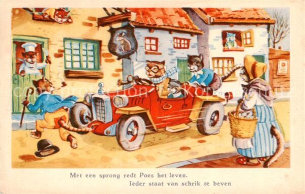 Vermenschlicht Katzen Auto Korb
