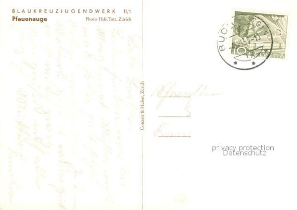 Schmetterlinge Pfauenauge – Bild 2