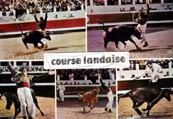 Stierkampf Corrida de Toros Bullfight Course landaise N 2465