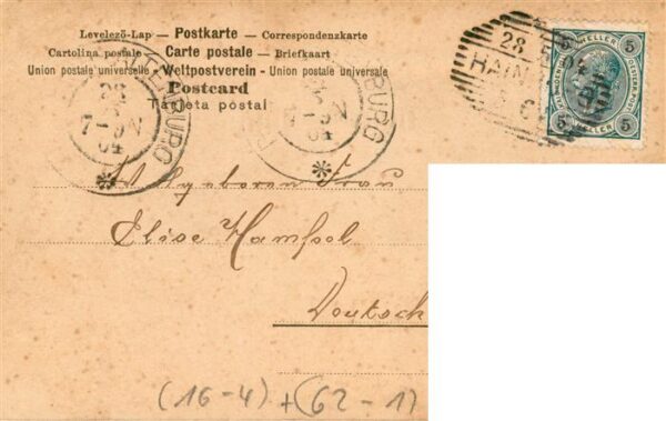 Foto NPG Nr. 195 Kinder – Bild 2
