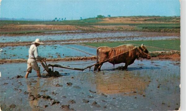 Landwirtschaft Taken in Korea