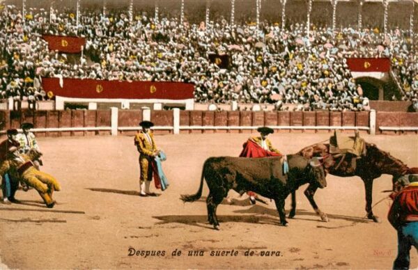 Stierkampf Corrida de Toros Bullfight Despues de una suerte de vera