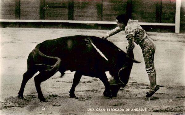 Stierkampf Corrida de Toros Bullfight Foto Meteo Una Gran Estocada de Andaluz