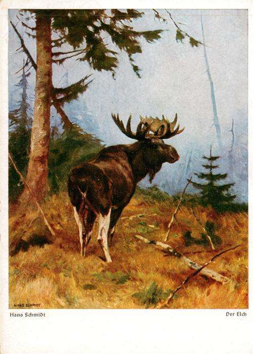 Kuenstlerkarte Hans Schmidt Der Elch