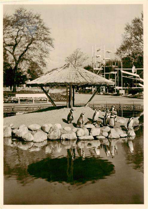 Gartenbauaustellung Hamburg 1953 Pinguinenteich Paolozzibrunnen