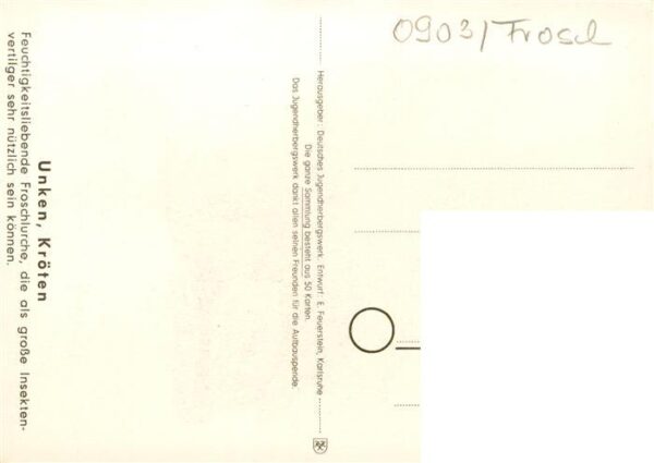 Froesche Unken Kroeten Nr.44 – Bild 2