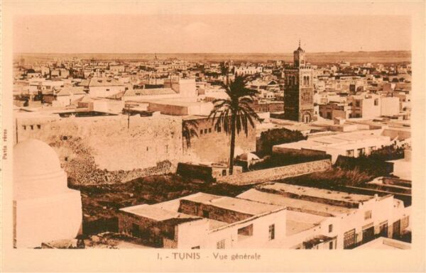 Tunis Tunesie Vue generale