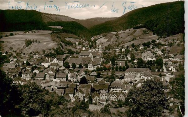 Alpirsbach Panorama mit Kloster