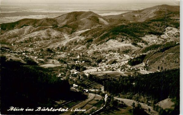 Buehlertal Fliegeraufnahme