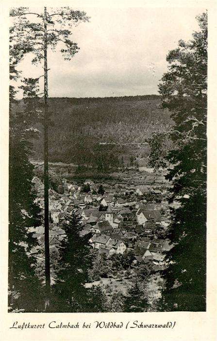 Calmbach Enz Panorama
